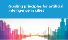 Guiding Principles for Artificial Intelligence in Cities